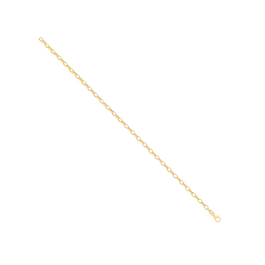 14ct Yellow Gold Hollow Oval Faceted Belcher 3.5mm Chain
