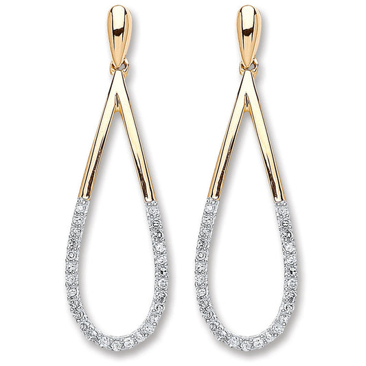 9ct Yellow Gold 0.15ct Dia Drop Earrings (HNN-F0B173)