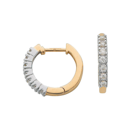 9ct Yellow Gold 0.25ct Diamond Earrings (HNN-48B5BD)